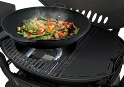 Gasmate Odyssey 2T 2-Burner BBQ With Trolley -Deals Gasmate Store bq1062 wok sml